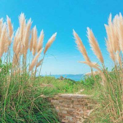 赢三张免费游戏