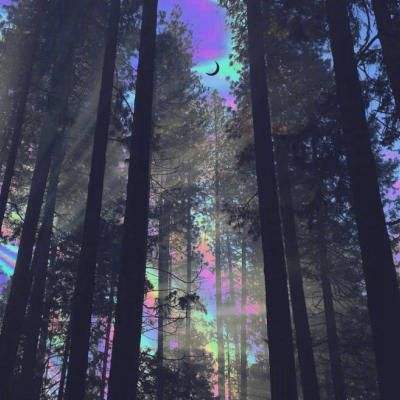 亚搏娱乐中心app下载