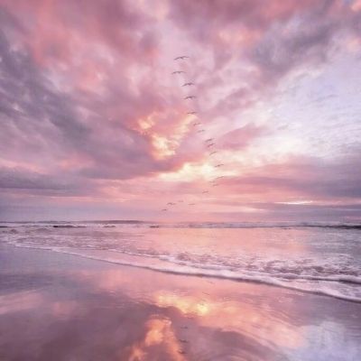 星空体育app下载