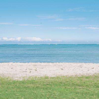 凤凰彩票最新版安卓版