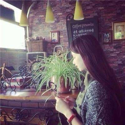 凤凰彩票最新版安卓版